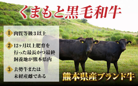 【12回定期便】黒毛和牛サーロイン ステーキ用 約400g（約200g×2枚）【吉里精肉】[ZEW068]