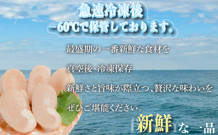 訳あり 平貝 4個入り (240~280g) 3パック 冷凍 海鮮 海産物 魚介 ごはん おかず おつまみ 愛知県 平貝 タイラギ