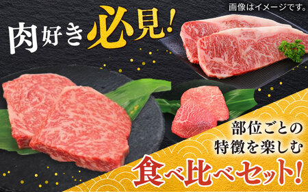 佐賀牛ステーキセット 計400g（100g×4枚） / 佐賀県 / 株式会社中山牧場 [41AOCW001]