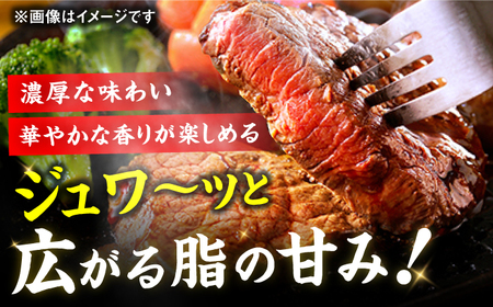 【12回定期便】サーロイン ステーキ 200g×2枚 / ステーキ お肉 牛肉 [AFBV006]