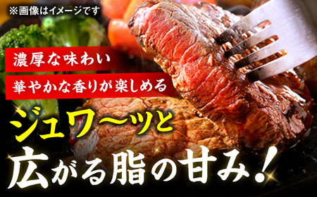 【5回定期便】 サーロイン ステーキ 200g×5枚 / ステーキ お肉 牛肉 サーロイン [AFBV020]
