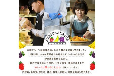 天然熟成天日塩 ナッツ4種セット(200g×4袋・合計800g)ナッツ ピスタチオ カシューナッツ ミックスナッツ アーモンド 素焼きナッツ おつまみ おやつ 晩酌 常温 常温保存【ksg0085-E】【南国フルーツ】