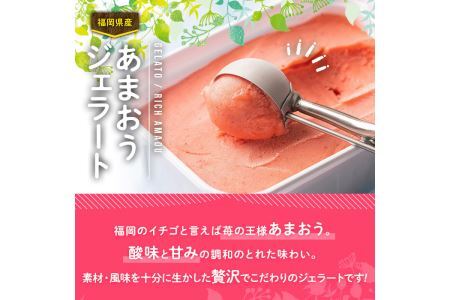 ＜先行予約受付中！2026年4月より順次発送＞採れたて!福岡産濃厚あまおうジェラート 業務用 (1L) 苺 いちご イチゴ アイス アイスクリーム 手作り スイーツ ＜離島配送不可＞【ksg0131】【南国フルーツ】