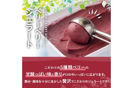フルーツソムリエが作った濃厚ベリーベリージェラート 業務用 (1L) アイス アイスクリーム ブルーベリー レッドカラント ラズベリー カシス ブラックベリー 手作り スイーツ ＜離島配送不可＞【ksg0059】【南国フルーツ】