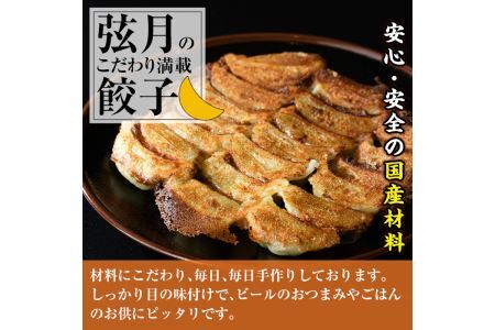 冷凍 焼餃子(計100個)ぎょうざ ギョウザ 国産 タレ付き 惣菜 おつまみ ＜離島配送不可＞【ksg0504】【餃子舗博多弦月】