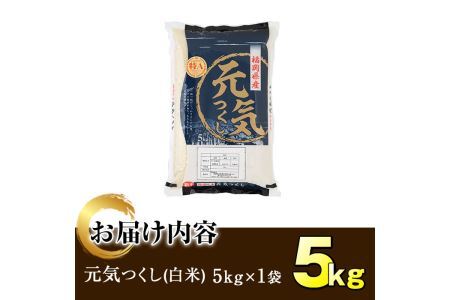 ＜令和7年産＞福岡県産ブランド米「元気つくし」白米(5kg)お米 5キロ ごはん ご飯【ksg0376】【朝ごはん本舗】