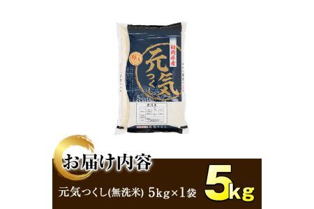 ＜令和7年産＞福岡県産ブランド米「元気つくし」無洗米(5kg)お米 5キロ ごはん ご飯【ksg0377】【朝ごはん本舗】