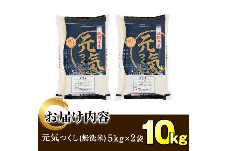 ＜令和7年産＞福岡県産ブランド米「元気つくし」無洗米(計10kg・5kg×2袋)お米 10キロ ごはん ご飯【ksg0379】【朝ごはん本舗】