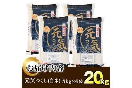 ＜令和7年産＞福岡県産ブランド米「元気つくし」白米(計20kg・5kg×4袋)お米 20キロ ごはん ご飯 【ksg0380】【朝ごはん本舗】