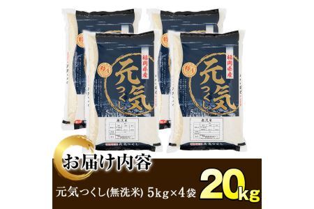 ＜令和7年産＞福岡県産ブランド米「元気つくし」無洗米(計20kg・5kg×4袋) お米 20キロ ごはん ご飯【ksg0381】【朝ごはん本舗】