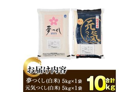 ＜令和7年産＞福岡県産米食べ比べ＜白米＞「夢つくし」と「元気つくし」セット(計10kg・5kg×2)お米 10キロ ごはん ご飯【ksg0413】【朝ごはん本舗】