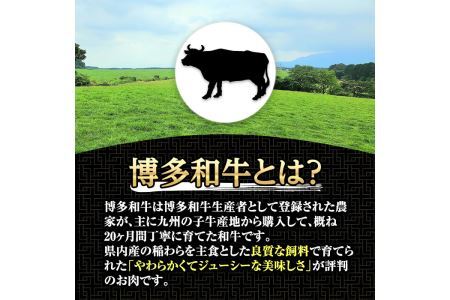博多和牛ヒレステーキ 自家製ジャポネソース付(100g×5枚)牛肉 和牛 博多和牛 国産 ステーキ ヒレ肉＜離島配送不可＞【ksg1286】【くしだ企画】