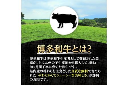 博多和牛の黄金カレー(200g×4袋)国産 和牛 博多和牛 牛肉 カレー 冷凍カレー ビーフカレー 簡単 小分け【ksg1273】【株式会社くしだ企画】