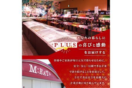 ＜訳あり・不揃い＞博多和牛焼肉切り落とし(肩ロース・バラ)(計500g) 牛肉 黒毛和牛 国産 BBQ 化粧箱 贈答 ギフト プレゼント ＜離島配送不可＞【ksg1405】【MEATPLUS】