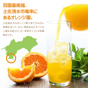 オレンジ園の濃縮ジュース 土佐文旦 500ml 3本 希釈用 【R01119】