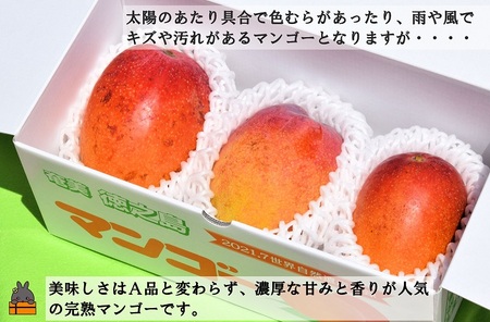 ≪先行予約≫訳あり！【家庭用】徳之島産完熟マンゴー1kg（2～3玉）フルーツ わけあり 訳あり 果物