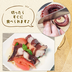 三陸産 煮タコ足 2～4本入 1kg たこ たこあし 魚介 海産物 たこめし タコ octopus 刺身 おさしみ 刺し身 切り身 バーベキュー BBQ ごはん 夕飯 おかず おつまみ 晩酌 海産物 海鮮 魚介 魚介類 大船渡 三陸 岩手県 国産