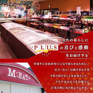 ＜訳あり・不揃い＞博多和牛モモステーキ(計500g・100g×5P) 牛肉 黒毛和牛 国産 モモ肉 ステーキ BBQ 小分け ＜離島配送不可＞【ksg1480】【MEATPLUS】