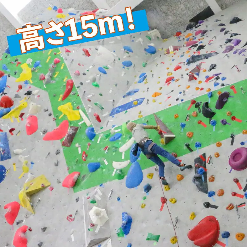 クライミング ボルダリング 回数券 11回分 一般 高校生 宇和島市スポーツ交流センター ロープクライミング チケット スポーツ 体験 アクティビティ オリンピック 山 岩 石 山岳 登山 家族 子供 子ども 愛媛 宇和島 L011-184001
