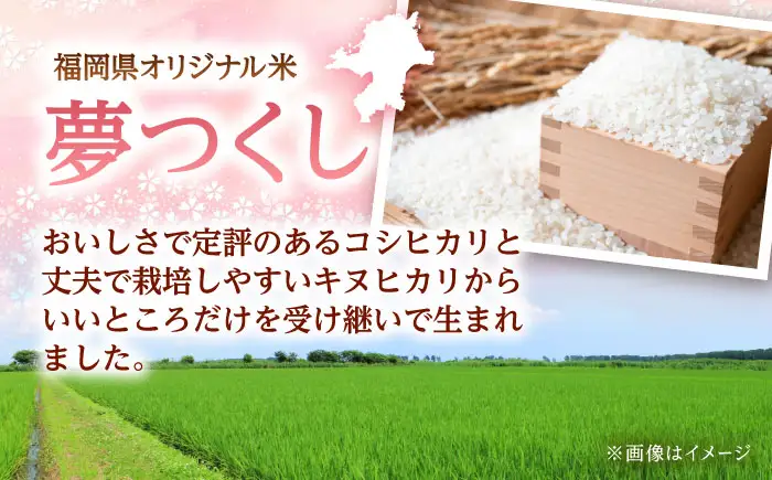 福岡県産 夢つくしパックご飯 24個 ADBG001 パックご飯 人気