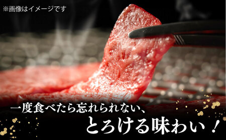 【3回定期便】 博多和牛 肩ロース 400g 焼肉 和牛 牛肉 九州産 国産 桂川町/ワイエスフード株式会社 [ADBP004] 国産牛 牛肉 肉 肩 ロース 焼き肉用 定期便 