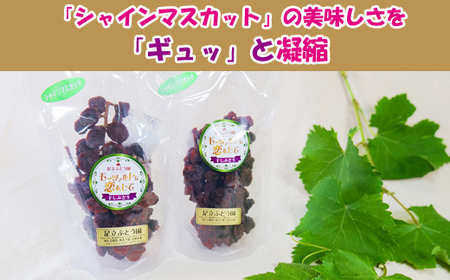 モーツァルトに恋をして 干しぶどう シャインマスカット（100g×2個）【国産 ドライフルーツ レーズン 葡萄 ぶどう 房 お取り寄せ 小分け おやつ おつまみ フルーツ 甘い 熟成 完熟 おやつ 島根県 安来市】