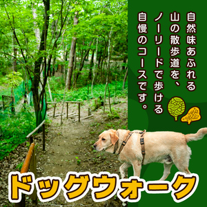 里山ドッグランサム 施設利用券 7,000円分 回数券 ドッグラン 7つのフィールド ドッグウォーク ペット 大型犬 中型犬 小型犬 自然 散歩【里山ドッグランサム】ta432