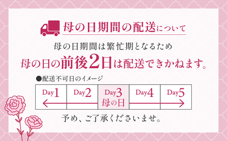 スワッグ ( ドライフラワー ) 花 母の日 父の日 ギフト プレゼント The Plants