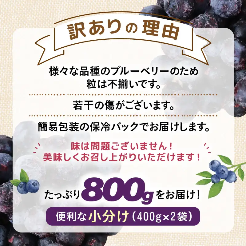 【先行予約】【訳あり】【冷凍】あわらフルーツランドのブルーベリー たっぷり 800g 便利な400g×2袋 【完熟】 / フルーツ 果物 くだもの 冷凍 小分け 完熟 ご当地 国産 おすすめ ※2026年8月上旬より順次発送 [aw091-a002]