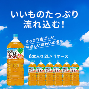 やさしい麦茶 2L 12本 (6本×2箱) セット 詰め合わせ お茶 サントリー