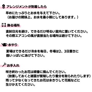 大切な人へ贈る、フラワーアレンジメント ミニサイズ 【1908】