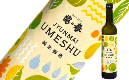 本格日本酒仕込み 純米梅酒 500ml×2本 越の誉[Y0022]
