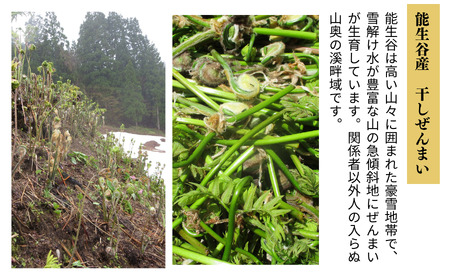 令和8年産 干しぜんまい 乾燥ぜんまい 小500g ぜんまい 山菜の王様「ぜんまい」新潟県 糸魚川市 能生谷産 柔らか美味しい 山菜 凝縮された旨味 おおかやば山菜園 2026年産
