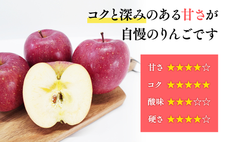 【レビューキャンペーン】≪令和8年産先行受付≫11月発送! 訳あり 家庭用サンふじ約3kg 青森県平川市産[hi-0038-001-11]