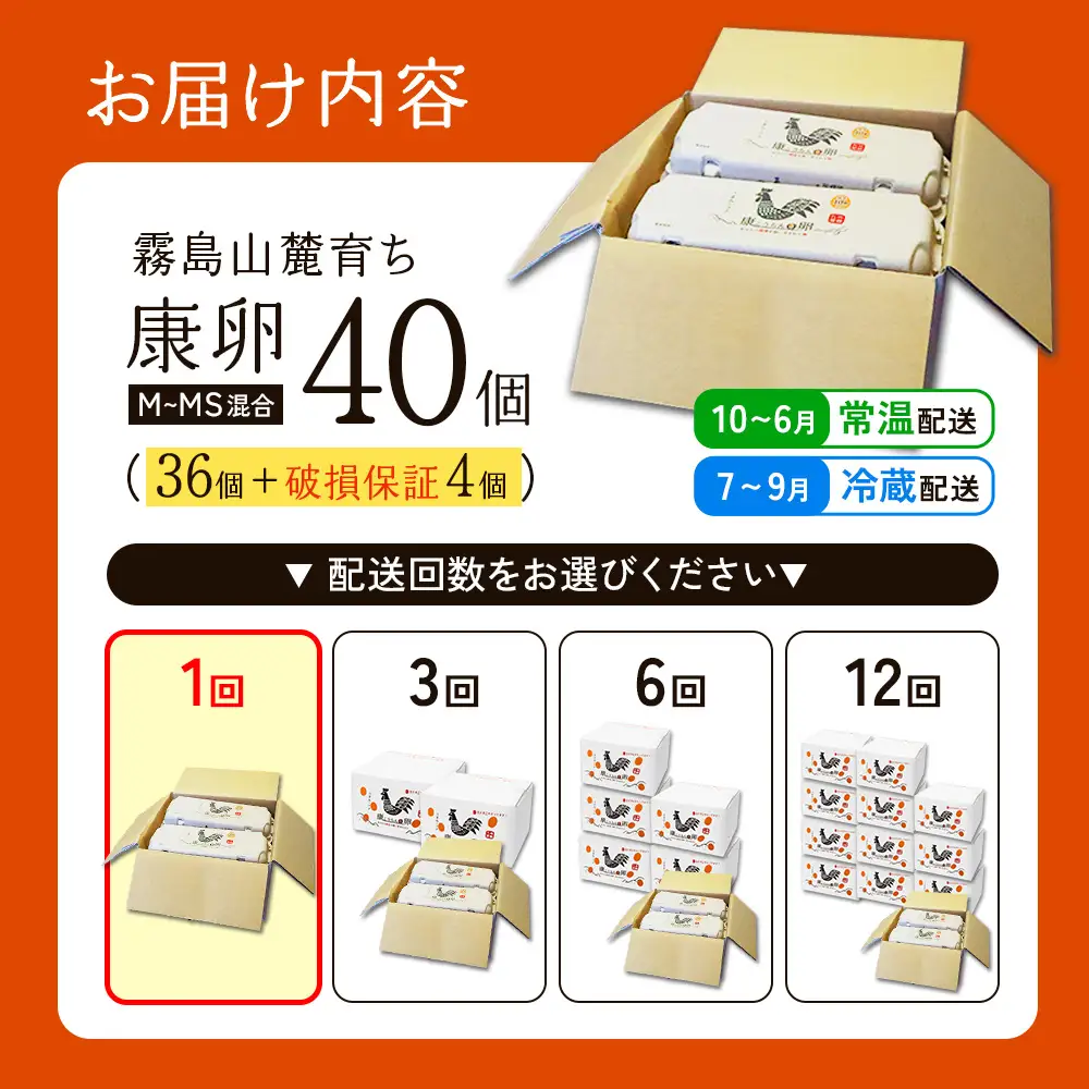 卵 霧島山麓育ち こだわり卵 康卵 計40個（36個 + 割れ保証4個）たまご 玉子 卵焼き 玉子焼き たまご焼き 生卵 鶏卵 たまごかけごはん 国産 九州産 宮崎県産 送料無料