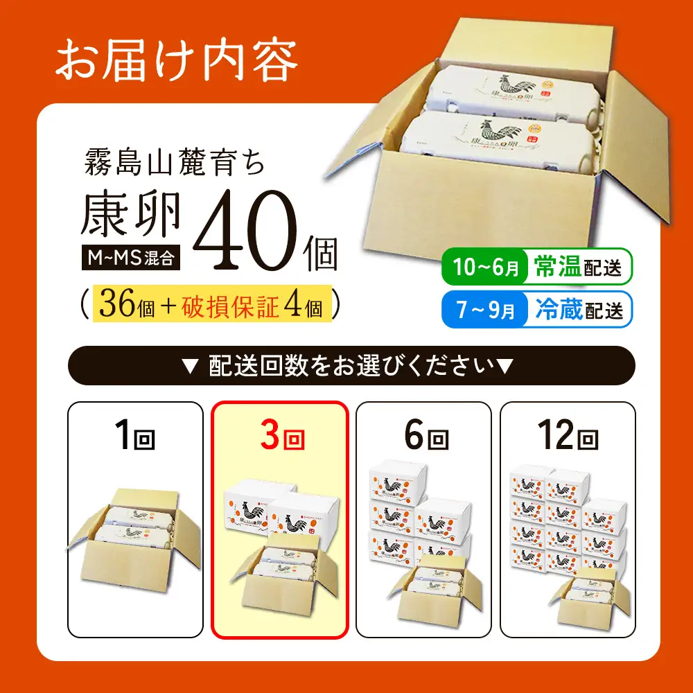 卵【3回 定期便】霧島山麓育ち こだわり卵 康卵 計40個（36個 + 割れ保証4個）3回 計 120個(108個 + 割れ保証 12個) )たまご 玉子 卵焼き 玉子焼き たまご焼き 生卵 鶏卵 たまごかけごはん 国産 九州産 宮崎県産 送料無料