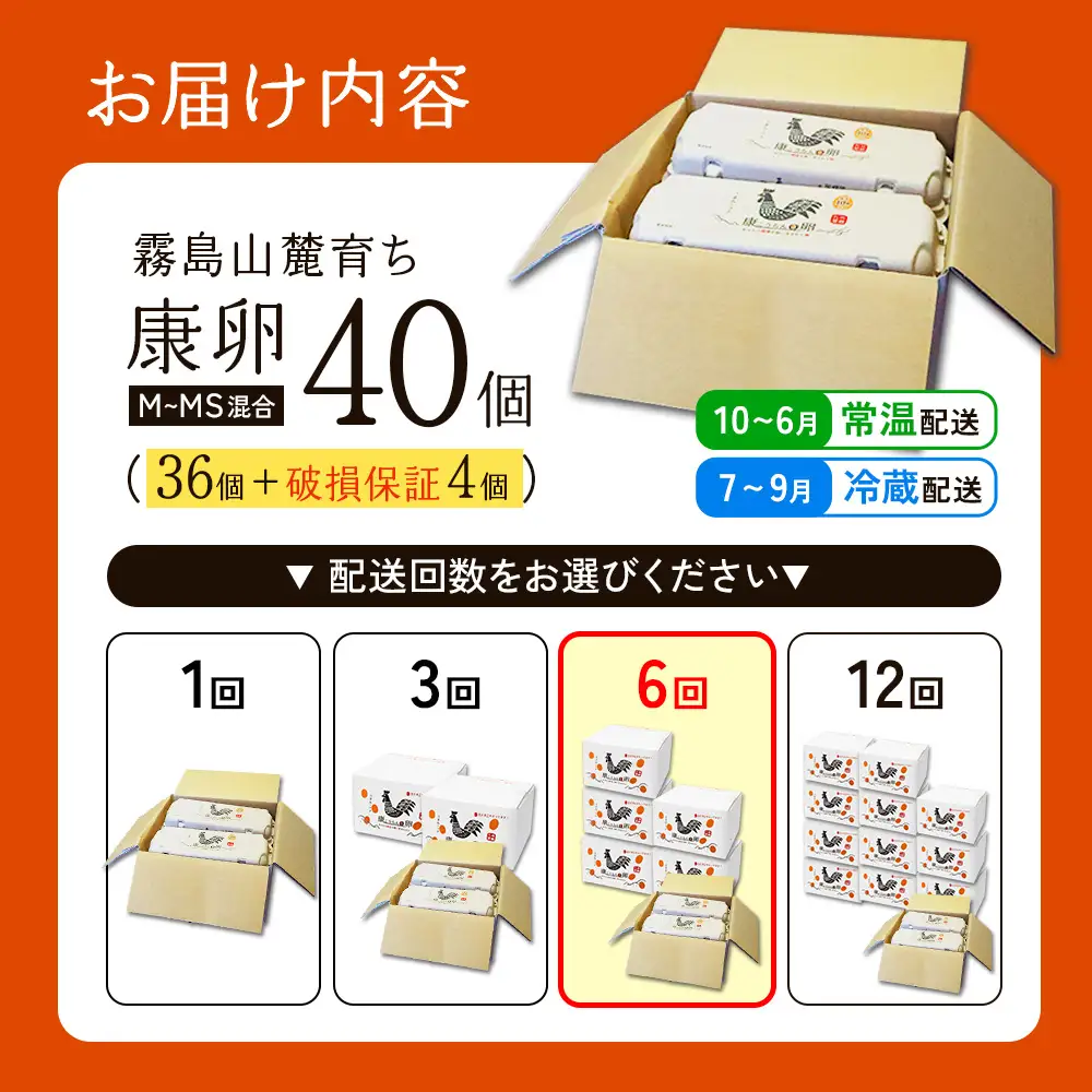 卵【6回 定期便】霧島山麓育ち こだわり卵 康卵 計40個（36個 + 割れ保証4個） 6回 計 240個(216個 + 割れ保証 24個)たまご 玉子 卵焼き 玉子焼き たまご焼き 生卵 鶏卵 たまごかけごはん 国産 九州産 宮崎県産 送料無料