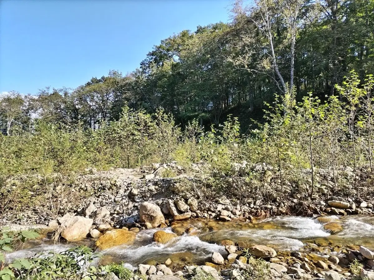 十勝ワッカの森キャンプ場 サウナチケット【北海道 清水町 キャンプ サウナ 整う 貸し切り アウトドア チケット 利用券 優待券 旅行 バーベキュー BBQ グランピング テント ペットサイト ドックラン オートサイト 大自然】_S033-0004