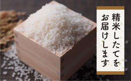 【定期便 3ヶ月】（全3回）令和7年産 飛騨産コシヒカリ 「飛騨の米」 白米（玄米対応可） 5kg | 白米 精米 節減農薬米 のし対応 飛騨高山 ファームジネンいいむら GG102