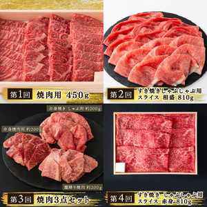 定期便 近江牛 食べ比べ 全10回                                                         