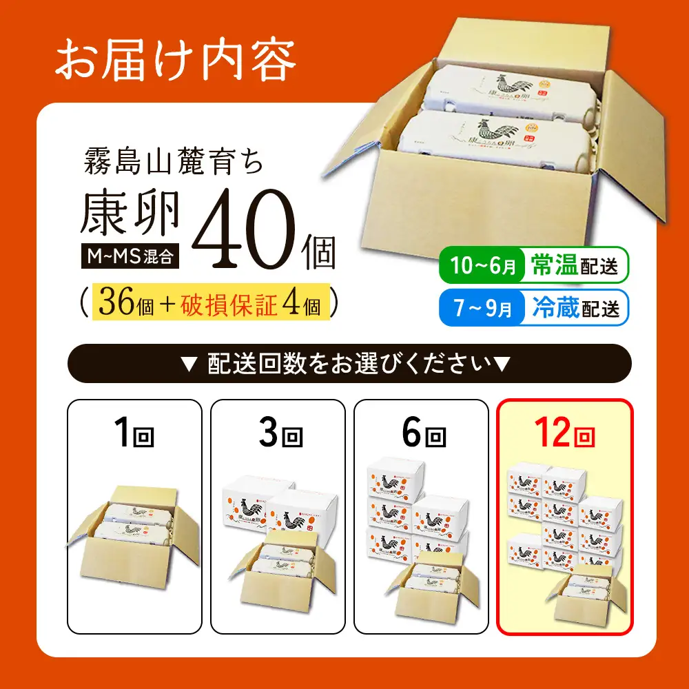 卵【12回 定期便】霧島山麓育ち こだわり卵 康卵 計40個（36個 + 割れ保証4個）12回 計 480個(432個 + 割れ保証 48個)たまご 玉子 卵焼き 玉子焼き たまご焼き 生卵 鶏卵 たまごかけごはん 国産 九州産 宮崎県産 送料無料