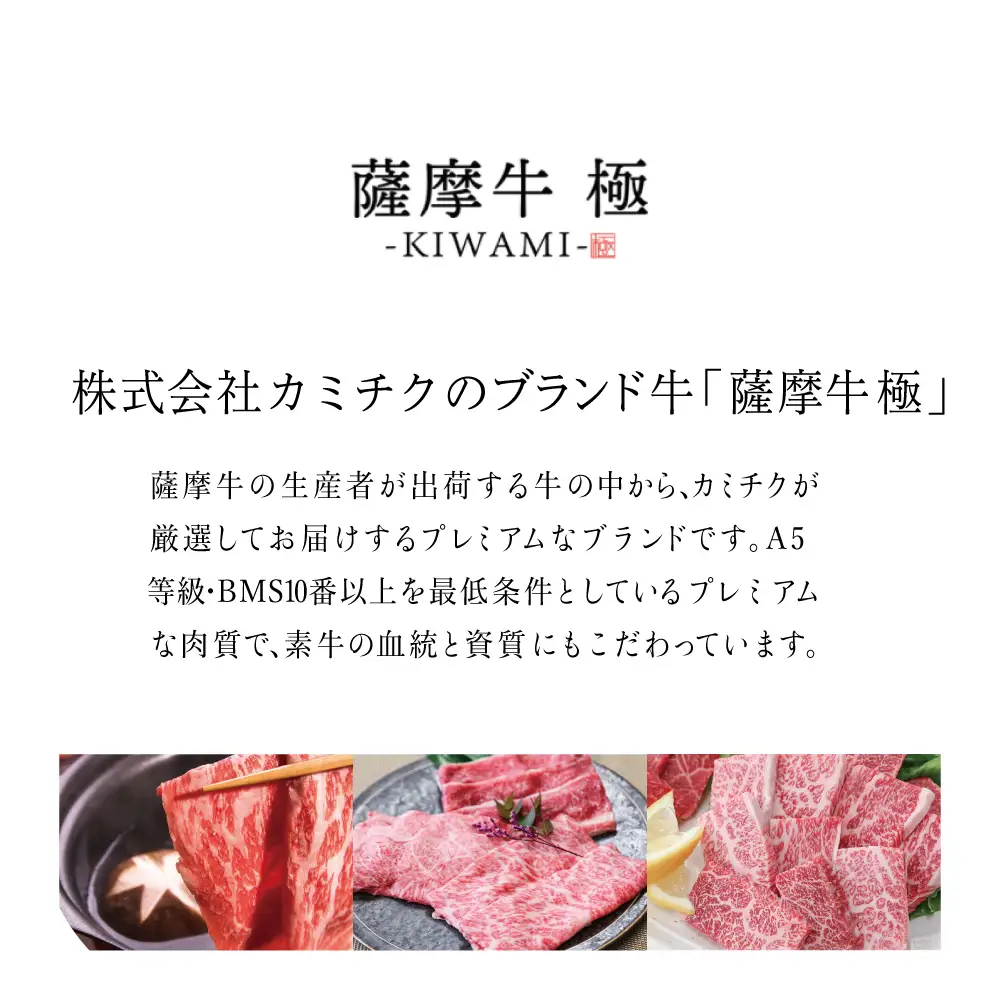 鹿児島県産黒毛和牛「薩摩牛 極」ヒレステーキ 4枚 計600g 1枚約150g 国産牛 牛肉 A5 赤身 希少部位 プレミアム グルメ プレート 焼肉 バーベキュー BBQ アウトドア レア フィレ ブランド牛 お祝い ご褒美 贅沢 カミチク 冷凍