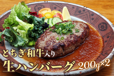 日光えんや 特製 ハンバーグ セット「とちぎ和牛入り 生ハンバーグ」「日光HIMITSU豚 生ハンバーグ」「自家製ステーキソース」 [0515]