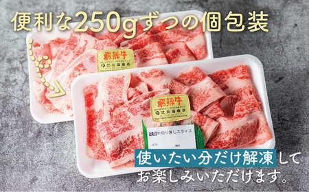 《訳あり》飛騨牛 切り落としスライス 750g 焼肉 牛肉 黒毛和牛 和牛 すき焼き 焼き肉 訳アリ わけあり ワケアリ 不揃い 部位おまかせ 煮物 飛騨古川［Q2526］18000円