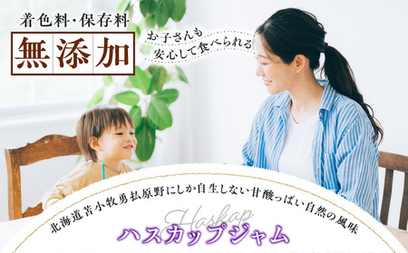 ニドム オリジナル 手作り ハスカップ ジャム T067-007 果物 加工食品