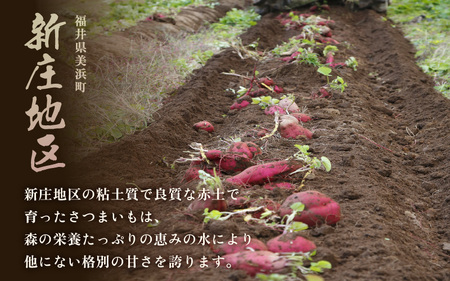 【先行予約】大谷原の熟成さつまいも (3kg 洗い芋) 約15本【入手困難・数量限定】【2026年10月下旬以降順次発送予定】【サツマイモ 芋 紅はるか】 [m23-a003]