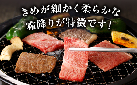 牛肉 焼肉 牛肉[宮崎牛 霜降り 600g]