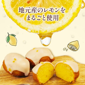 レモンケーキ 12個 手作り レモンケーキ