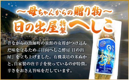 【テレビで紹介】舟小屋熟成 日の出屋特製 鯖のへしこ (姿) 600g × 1本 【 へしこ サバ さば 糠漬け 】 [m57-a001] 