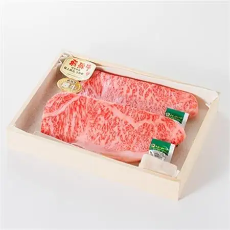 【最飛び雌牛】飛騨牛A5等級サーロインステーキ　250g×2枚【配送不可地域：離島】【1520149】